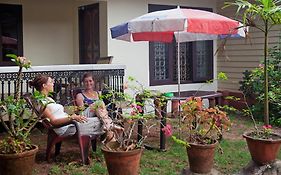 Dream Nest Guest House